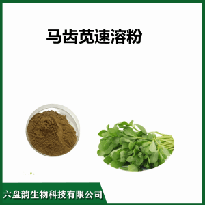马赤苋速溶粉    马齿苋多糖 喷雾干燥
