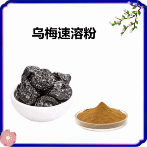 乌梅速溶粉  10:1多规格 乌梅水溶粉