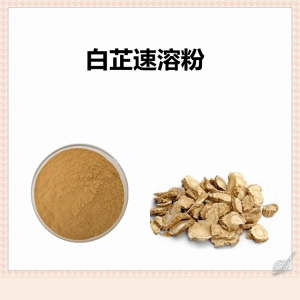 白芷速溶粉  10:1卒取水溶白芷粉  库存足可提样