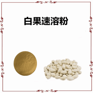 白果速溶粉  六盘韵10:1多规格提取白果粉
