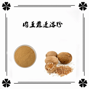 肉豆蔻速溶粉 10:1多种规格定制豆蔻粉
