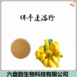 佛手速溶粉 10:1速溶佛手粉 食品原料