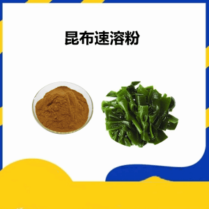 昆布速溶粉   10:1提取昆布粉  精细粉末