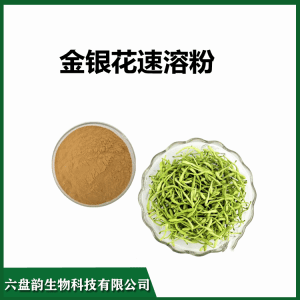 金银花速溶粉  精细粉末 多种规格  可定制