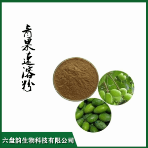青果速溶粉 六盘韵供应原料精细青果粉