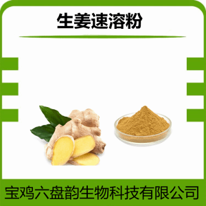 生姜速溶粉  水溶性生姜粉   可定制 可提样
