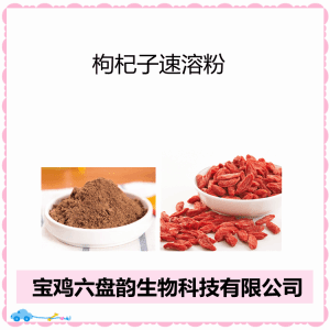 枸杞子速溶粉  水溶比例浓缩   多糖