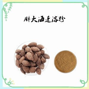 胖大海速溶粉     喷雾干燥   水溶性粉末  可定制多种规格