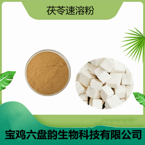 茯苓速溶粉  水溶性茯苓浸膏粉 茯苓多糖  全国包邮