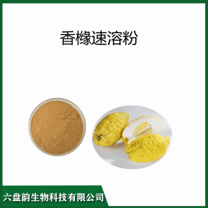 香橼速溶粉    喷雾干燥 药食同源 精细粉末