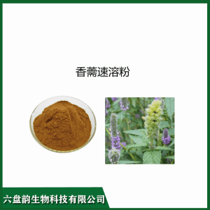 香薷速溶粉   10;1可定制生产  卒取香薷粉