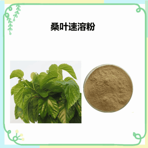 桑叶速溶粉  桑叶多糖 库存足 可试样