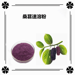 桑葚速溶粉    六盘韵生物  桑葚花青素  10:1多种规格