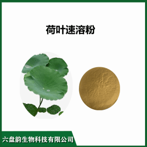 荷叶速溶粉   食品级水溶性纯粉  规格多 