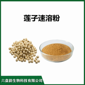 莲子速溶粉 植物卒取水溶莲子粉  六盘韵生物