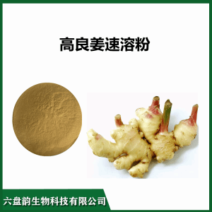高良姜速溶粉  浓缩高良姜粉  多规格 可定制