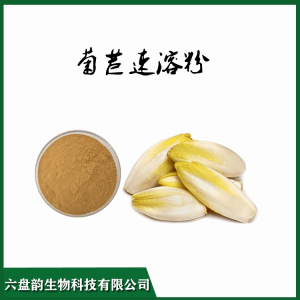 菊苣速溶粉   喷雾干燥 六盘韵生物 菊苣粉