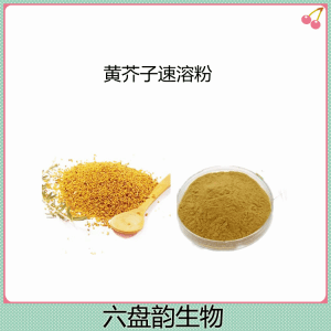 黄芥子速溶粉   植物卒取黄芥子粉 可定制多规格