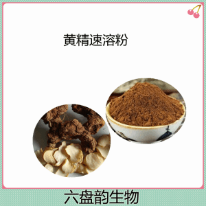 黄精速溶粉 精细粉末 无沉淀喷雾干燥工艺