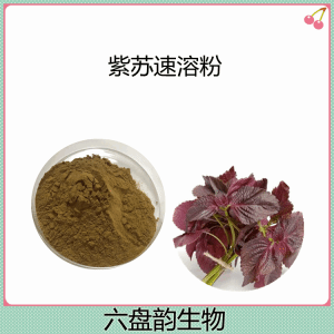紫苏速溶粉 10:1提取水溶性紫素粉