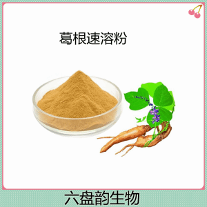 葛根速溶粉 喷雾干燥工艺  葛根多糖