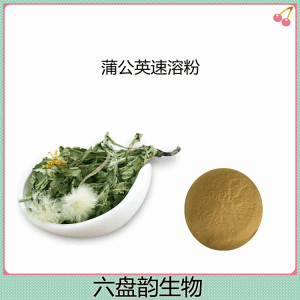 蒲公英速溶粉 10:1提取 喷雾干燥  水溶无沉淀