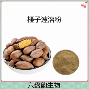 榧子速溶粉 水溶性榧子粉 可定制多规格