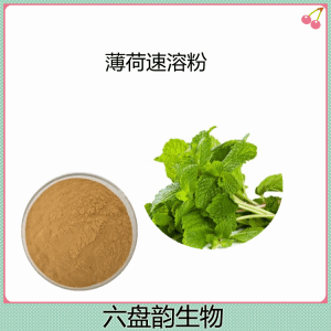 薄荷速溶粉 喷雾干燥 定制生产薄荷粉