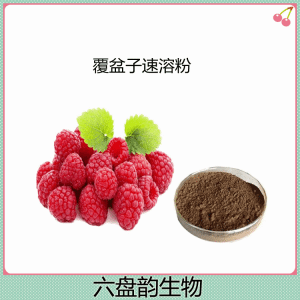 覆盆子速溶粉   速溶覆盆子粉 浓缩萃取 食品饮料原料 三方检测