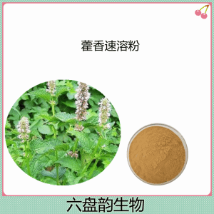 藿香速溶粉10-1藿香粉  六盘韵生物