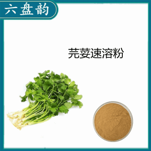芫荽速溶粉10：1 速溶粉 多规格可定制 喷雾干燥
