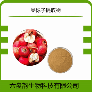 棠朹子提取物  水溶粉末 可定制多种规格