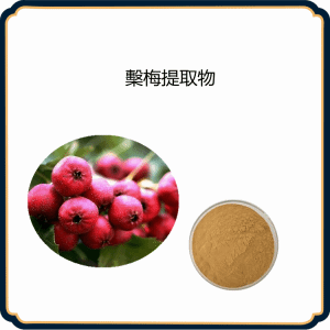 羊梂提取物 可定制生产 山楂粉