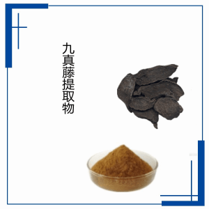 九真藤提取物 水溶性好  规格可定制