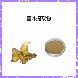 垂珠提取物  规格多   可提小样