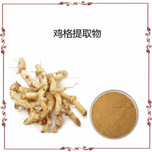 鸡格提取物    比例浓缩  现货 可试样