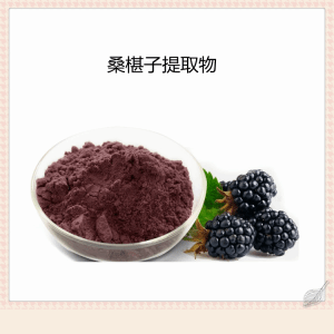 桑椹子提取物     桑葚多糖 六盘韵生物  精细浓缩粉末