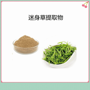迷身草提取物 水溶性喷雾干燥工艺