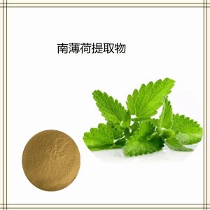 南薄荷提取物 10:1可定制多种规格  可试样