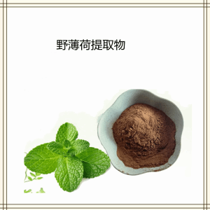野薄荷提取物   10:1可定制 可试样