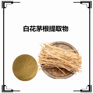 白花茅根提取物  10:1规格 可定制