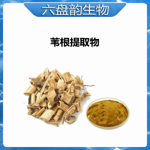 苇根提取物 10;1可定制 水溶浓缩精细粉末