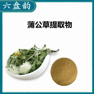 蒲公草提取物  精细浓缩粉末  可定制