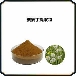 婆婆丁提取物  10:1可定制 可试样