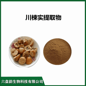 川楝实提取物  浓缩精细粉末   规格可定制