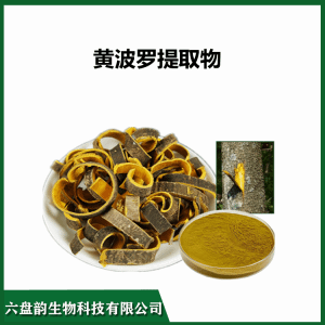 黄波罗提取物 浓缩水溶 黄柏精细粉末