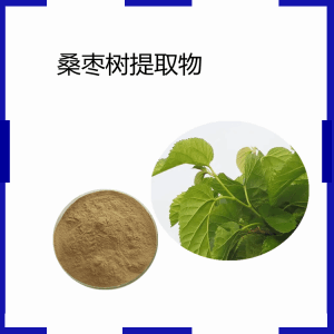 桑枣树提取物   桑叶多糖   水溶性喷雾干燥工艺