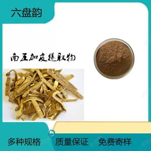南五加皮 五加皮提取物水溶五加浓缩粉