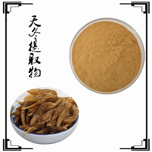 大门当根 天门冬提取物 天门冬粉   多糖