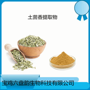 土茴香提取物  精细浓缩粉  10：1可定制